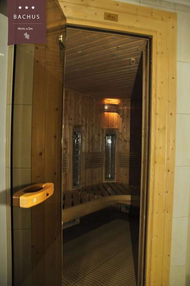 Отель Hotel Bachus Старогард-Гданьский-44